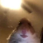 esta waupo e