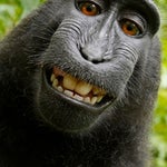 Some Edit sound i stole