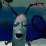Plankton