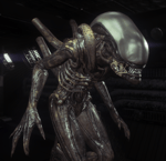 Xenomorph Vent exiting