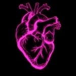 Love For You (Hoodtrap)