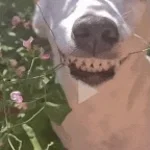 idk