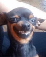 Siren Head 2018 ambiance