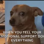 no one wants to play with robert