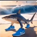 ITS TIME FOR AFRICA!!!