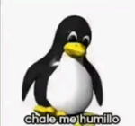 chale me humillo sonido meme