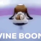 vine boom