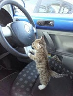 xg left right pluggnb flip