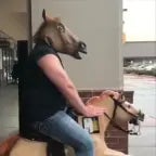 horsing