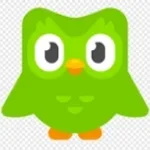 Duolingo correct sound (copy)