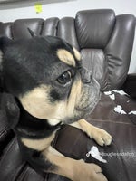 Super Mario World Music Part 2