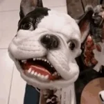 cannis bark