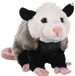 chinese spy balloon meme