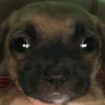 yo enseñandole a sumar a mi primito - Sound