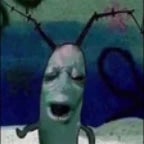 plankton aughhhh (copy)