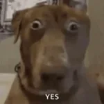 Ominous Bells of Doom