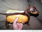 oh my god