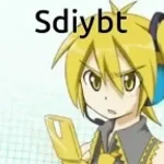 sdiybt