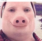 ohio meme sound effects