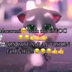 maccaroni with the effoc