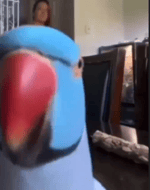 Spanish Bird Roasting in Spanish