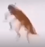 لا يل عباس كرنج طن طن طن طن طن طن طن طن طن طن طن طن طن - Sound