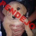 Recording 09/27/25 14:05:53