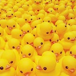 I bet this video can't get the same number of likes and comment - Sound