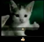 that was a lie - Sound