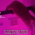 Howard you have great muscular formation!