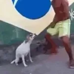 o casal mais lindo do brasil