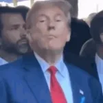 maga trump lo fi