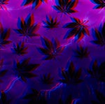 grilled cheese obama sandwich