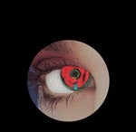 6986105844295682818 - Sound