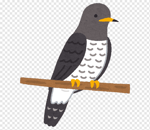 kuckuck du klein schlampe