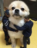 Александр Пистолетов Смертельная Битва Гладиатор kissvk - Sound