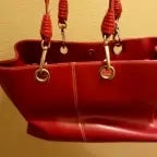 Another Spiked Purse