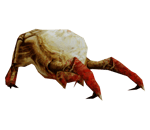 half life headcrab idle