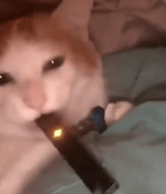 We Shall Sail Together