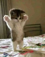 Make money sound Daison version