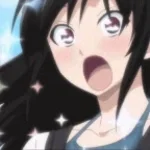 Recording 05/16/26 22:41:44