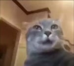 despierta, despierta no es real - Sound