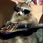 I’m sorry don’t leave me kid singing Roblox TikTok meme slidesh