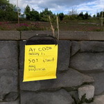 good job.