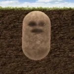 Recording 04/01/26 22:10:13