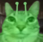 seinhor lève les mains