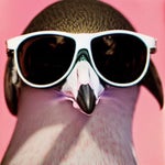 Whats up what are you