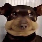 SYPHERPK IMAGINE PLAYING FORTNITE - Sound