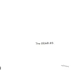 While my guitar gently weeps