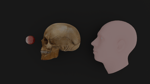 spooky scary skeleton